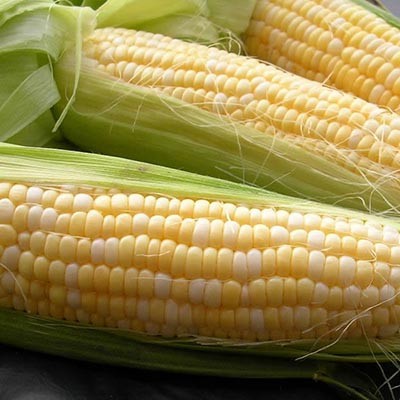 Кукуруза Сахарная Деликатесная / 20 г.