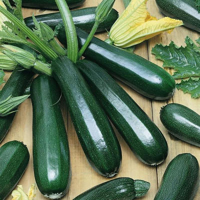 Кабачок Цукеша / 20 г.