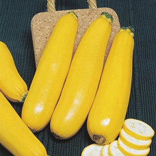 Кабачок Светозар / 20 г.