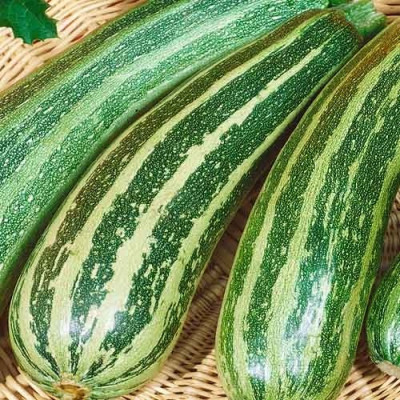 Кабачок Зебра / 20 г.