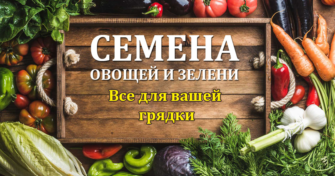 Сезон Весна 2026