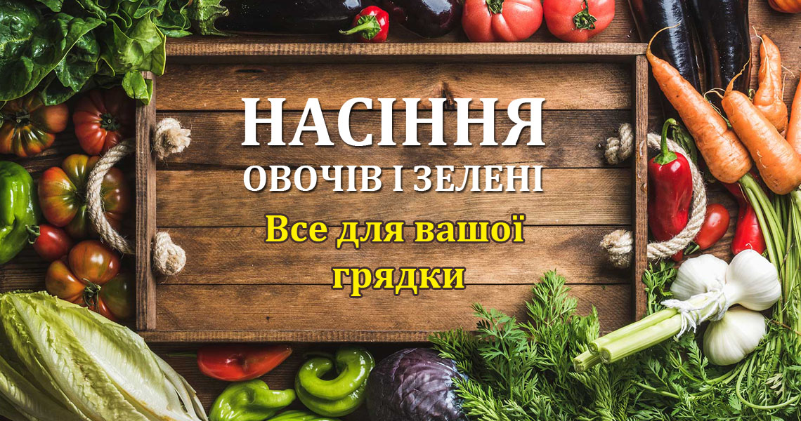 Сезон Весна 2026