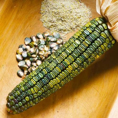 Кукуруза Зелёный фургон / 10 г.