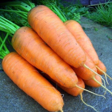 Морковь Сластена / 15 г.