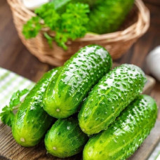 Огурец Береговой / 0,5 г.