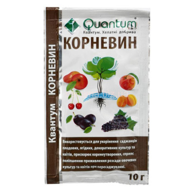 Квантум Корневин / 10 г.