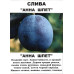 Слива Анна Шпет (дворічна)